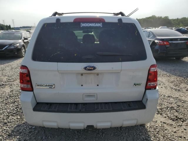 2012 Ford Escape XLT