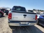 2008 Dodge Dakota Quad SLT