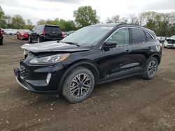 Salvage cars for sale at Des Moines, IA auction: 2020 Ford Escape SEL