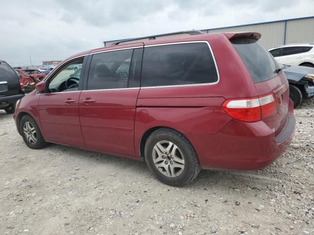 2005 Honda Odyssey EXL