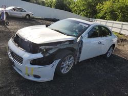 Salvage cars for sale at Windsor, NJ auction: 2009 Nissan Maxima S