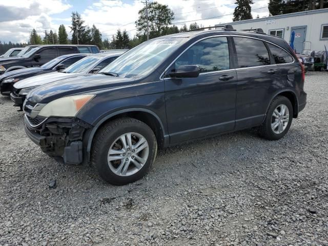 2010 Honda CR-V EXL