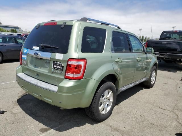 2010 Ford Escape Hybrid