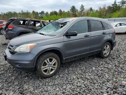Salvage cars for sale at Windham, ME auction: 2010 Honda CR-V EX