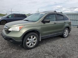 Honda cr-v exl salvage cars for sale: 2009 Honda CR-V EXL