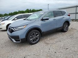 Salvage cars for sale from Copart Lawrenceburg, KY: 2020 Honda CR-V EXL
