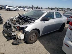 Toyota salvage cars for sale: 2009 Toyota Corolla Base