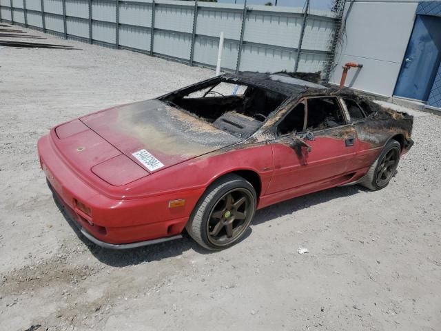 1989 Lotus Esprit SE