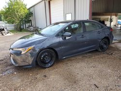 Salvage cars for sale at Grenada, MS auction: 2023 Toyota Corolla LE