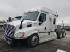 2016 Freightliner Cascadia 113