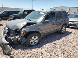 Salvage SUVs for sale at auction: 2005 Ford Escape HEV