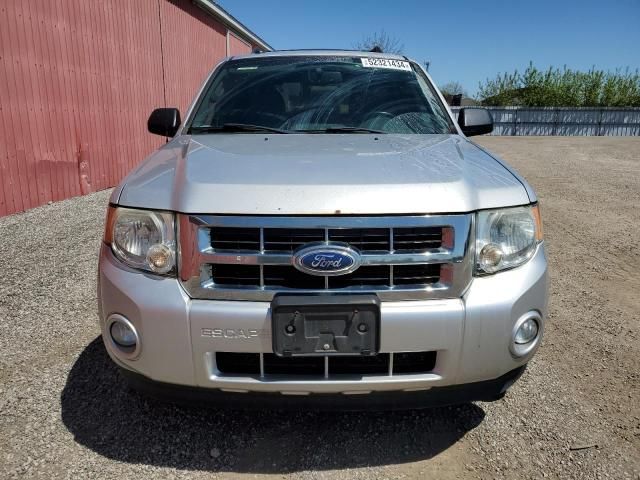 2012 Ford Escape XLT