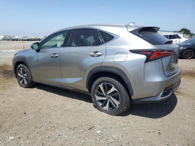 2019 Lexus NX 300H