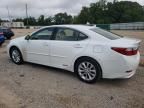 2013 Lexus ES 300H