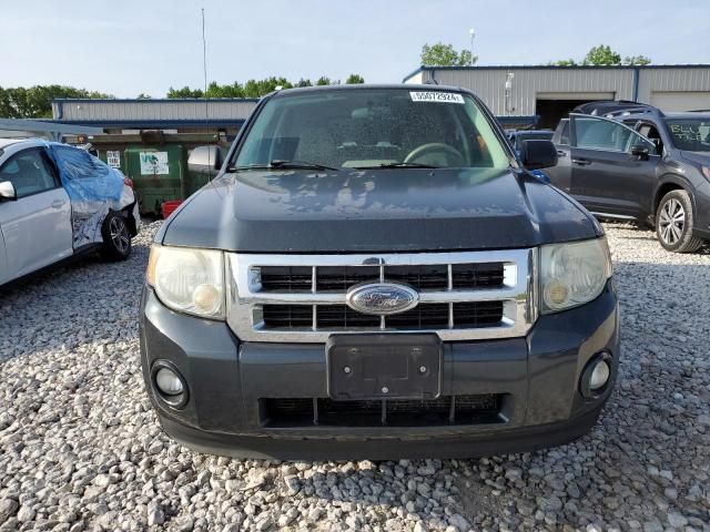 2008 Ford Escape XLT