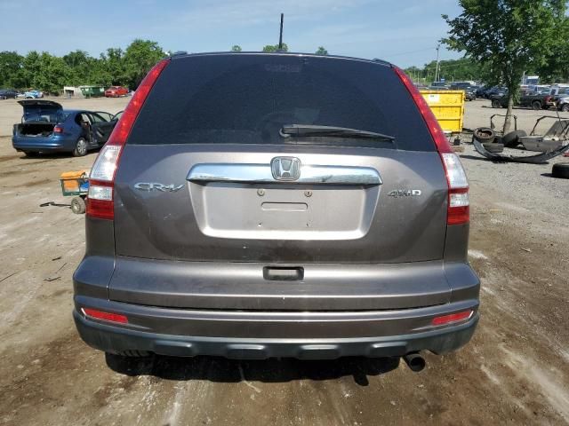 2010 Honda CR-V EXL