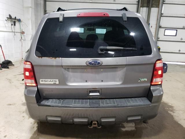 2010 Ford Escape XLT