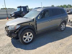 Salvage cars for sale at Lumberton, NC auction: 2009 Hyundai Santa FE SE