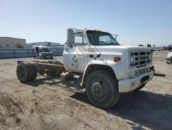 Salvage trucks for sale at Bakersfield, CA auction: 1988 GMC C7000 C7D042