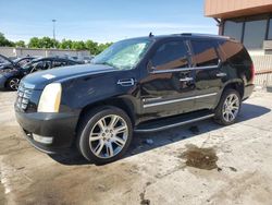 Salvage cars for sale at Fort Wayne, IN auction: 2008 Cadillac Escalade Luxury
