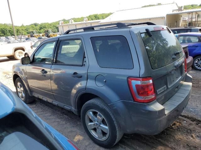 2011 Ford Escape XLT