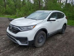 Salvage cars for sale from Copart Bowmanville, ON: 2021 Honda CR-V Sport