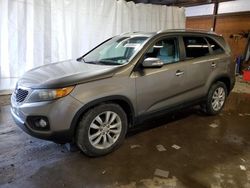 Salvage cars for sale at Ebensburg, PA auction: 2011 KIA Sorento Base