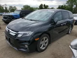 Buy Salvage Cars For Sale now at auction: 2019 Honda Odyssey EXL
