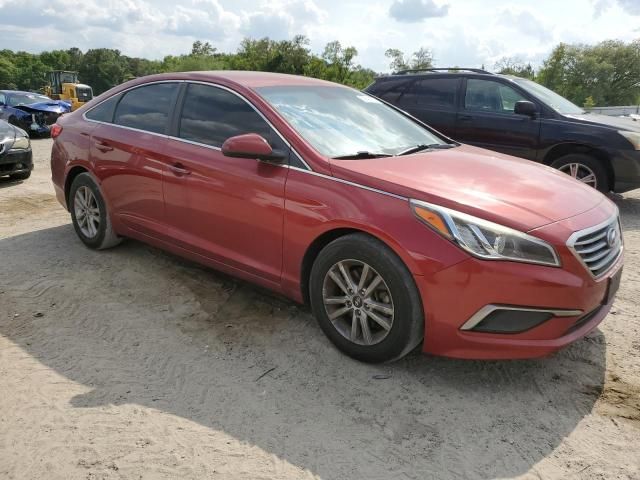 2016 Hyundai Sonata SE