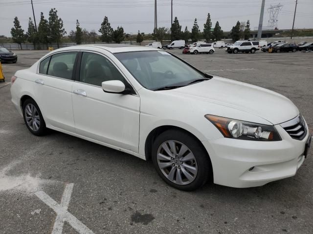 2011 Honda Accord EXL