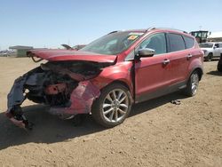 Salvage cars for sale at Brighton, CO auction: 2015 Ford Escape SE