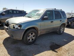 Ford Escape xlt salvage cars for sale: 2005 Ford Escape XLT