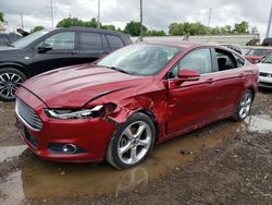 Salvage cars for sale at Columbus, OH auction: 2013 Ford Fusion SE