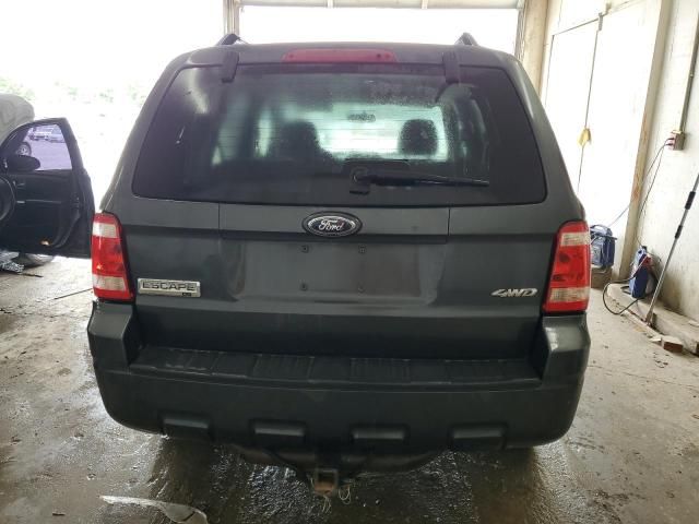 2008 Ford Escape XLT