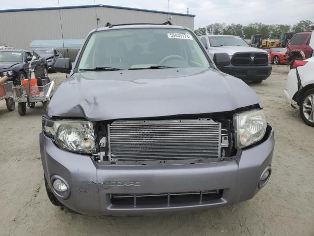 2008 Ford Escape XLT