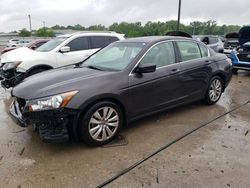 Honda Accord exl salvage cars for sale: 2011 Honda Accord EXL