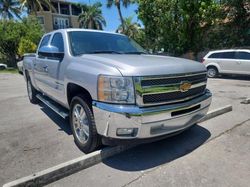 Salvage trucks for sale at West Palm Beach, FL auction: 2012 Chevrolet Silverado C1500 LT
