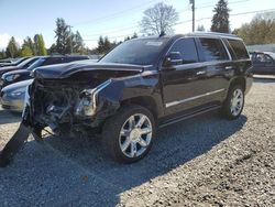 Salvage cars for sale from Copart Graham, WA: 2017 Cadillac Escalade Premium Luxury