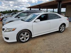 Salvage cars for sale from Copart Tanner, AL: 2010 Toyota Camry Base