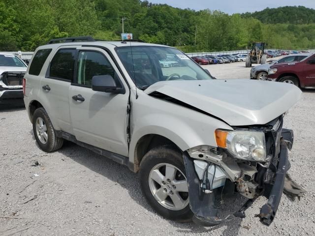 2009 Ford Escape XLT