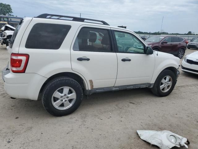 2009 Ford Escape XLT