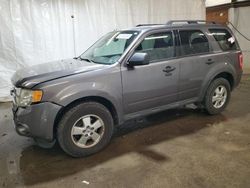 Vehiculos salvage en venta de Copart Ebensburg, PA: 2011 Ford Escape XLT
