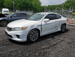 Salvage cars for sale at Finksburg, MD auction: 2013 Honda Accord EXL