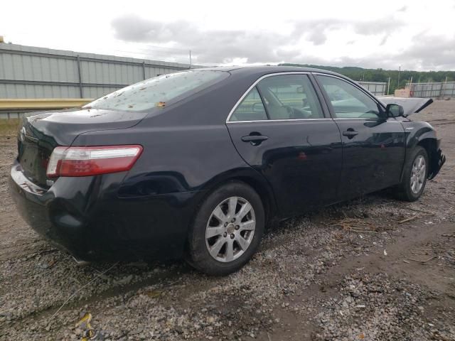 2009 Toyota Camry Hybrid