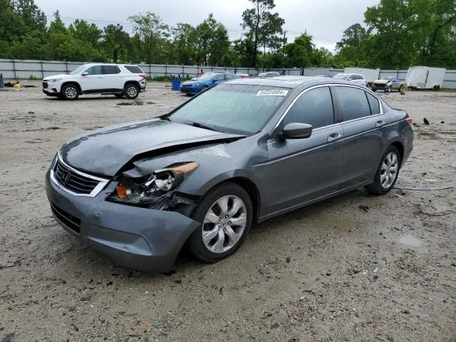 2010 Honda Accord EXL