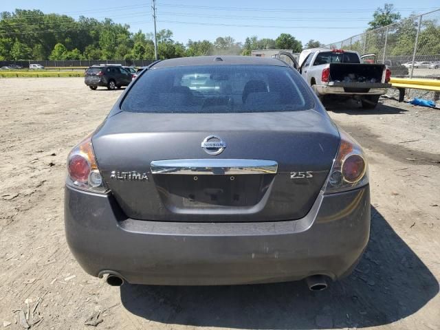 2010 Nissan Altima Base