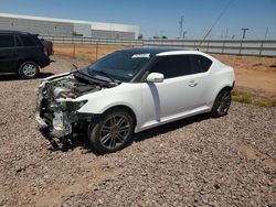 Vehiculos salvage en venta de Copart Phoenix, AZ: 2013 Scion TC