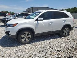 KIA Sorento EX Vehiculos salvage en venta: 2013 KIA Sorento EX