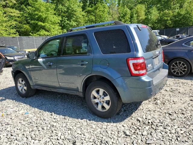 2010 Ford Escape Hybrid