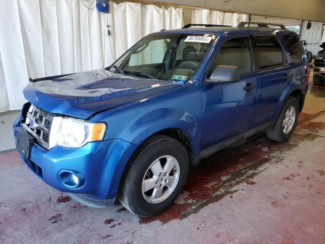 2011 Ford Escape XLT